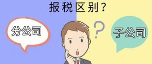 設(shè)立分公司和子公司，哪個(gè)更節(jié)稅？看完就明白了！