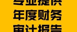財務報表審計報告的費用是多少？