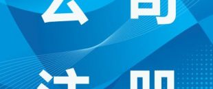 深圳創(chuàng)業(yè)總結(jié)，注冊公司有哪些類型？