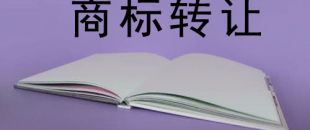 商標轉(zhuǎn)讓的相關法律法規(guī)